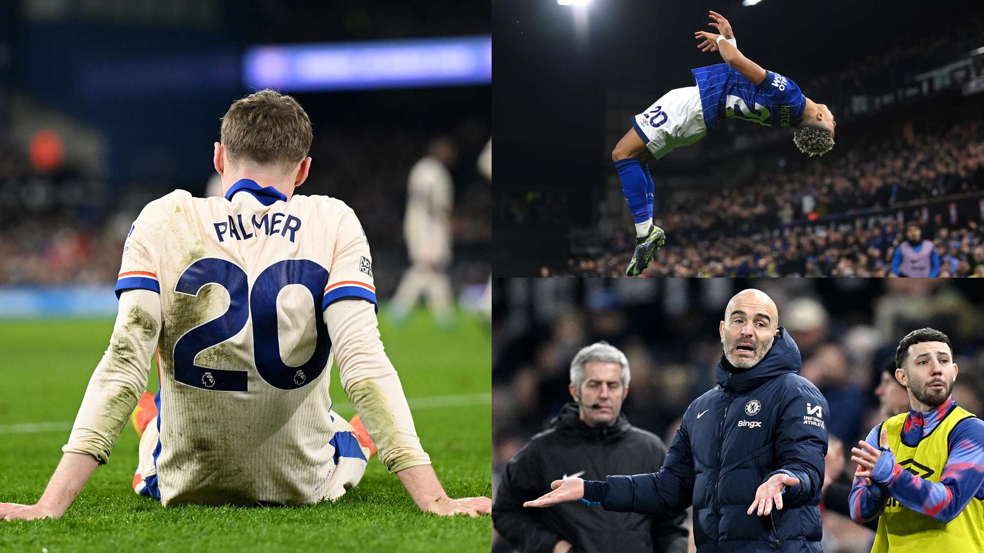 供了重要的 供了重要的