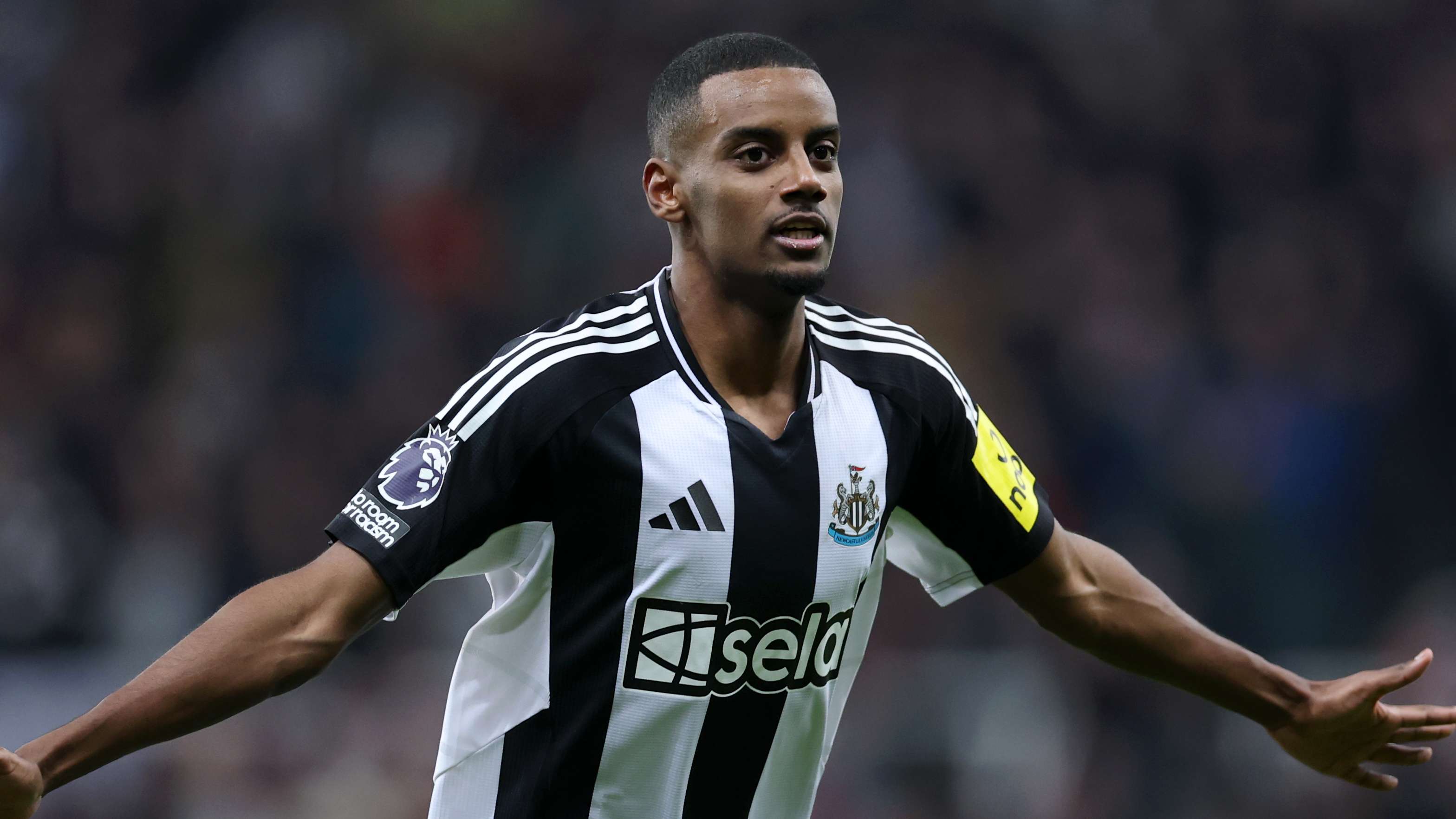 凭借顽强的 凭借顽强的